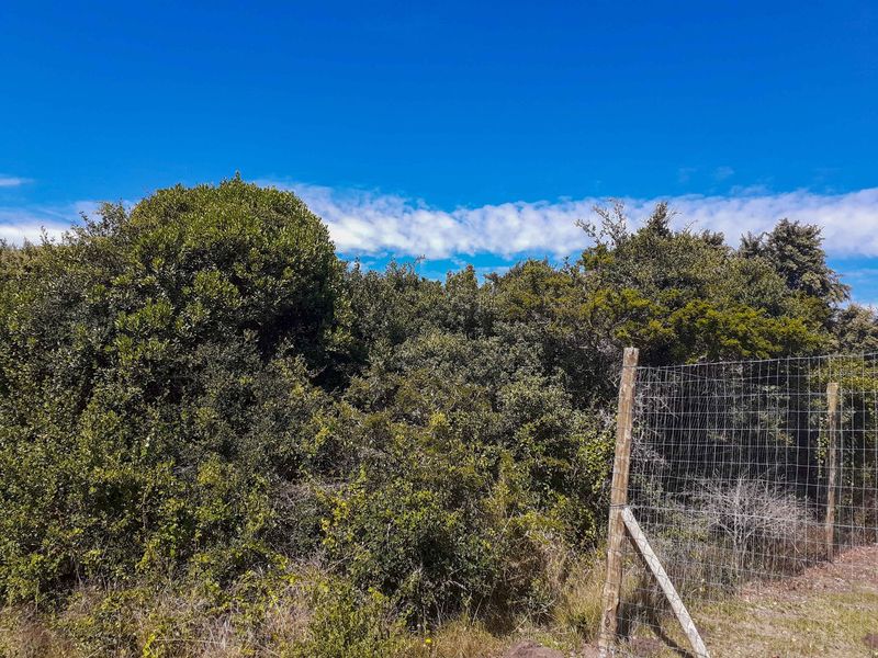 Your Coastal dream awaiits - Photo 5