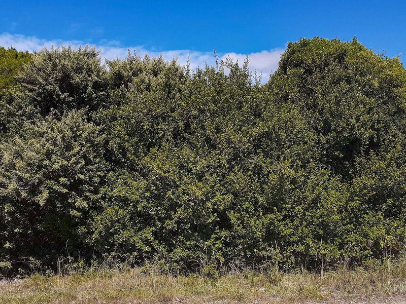 Your Coastal dream awaiits - Photo 2