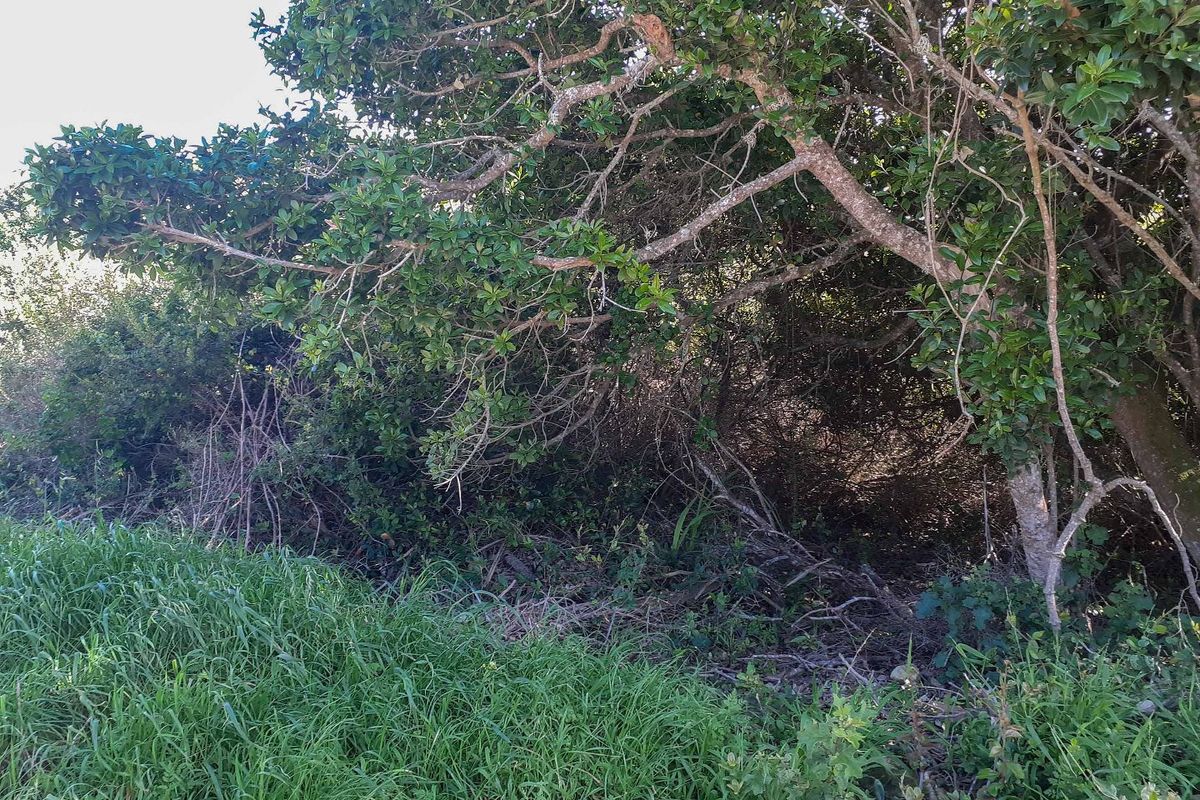 Your long awaited dream... - Photo 2