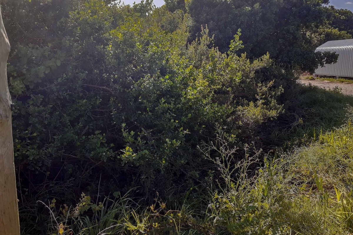 Your long awaited dream... - Photo 3