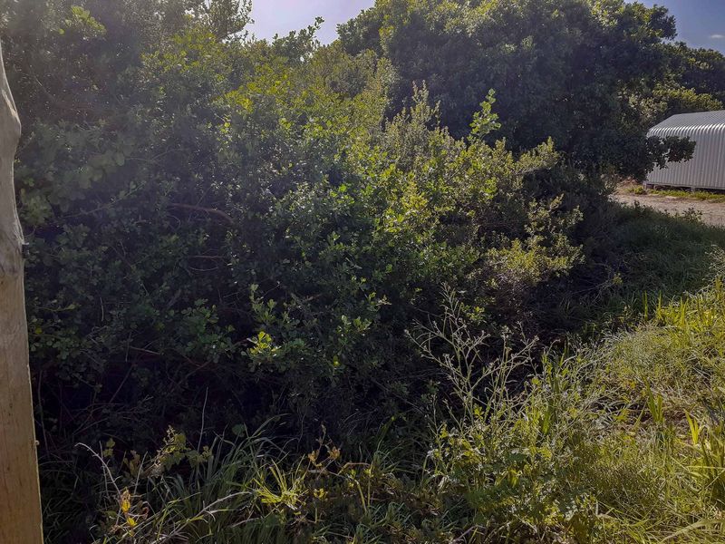 Your long awaited dream... - Photo 3