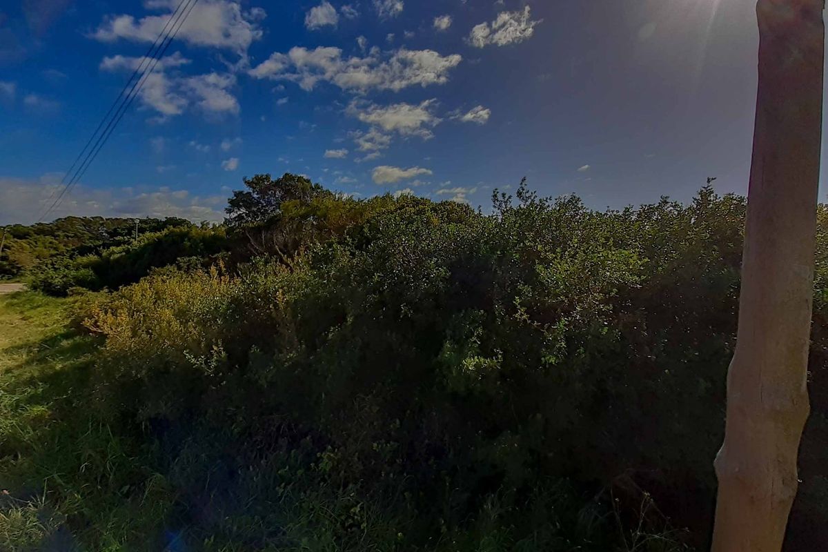 Your long awaited dream... - Photo 4