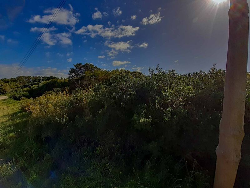 Your long awaited dream... - Photo 4