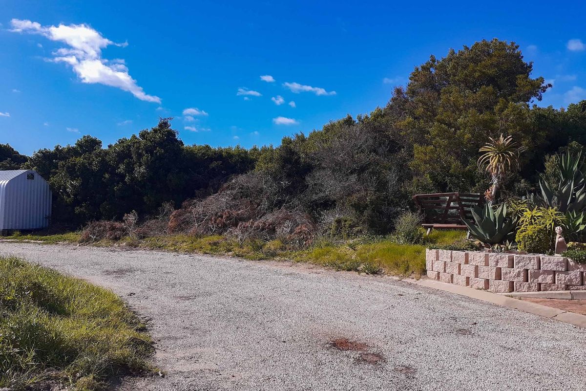 Your long awaited dream... - Photo 5