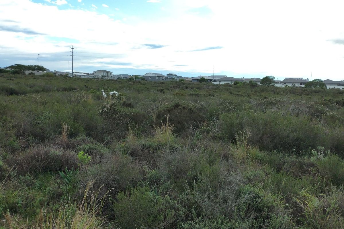 Vacant land - Photo 4