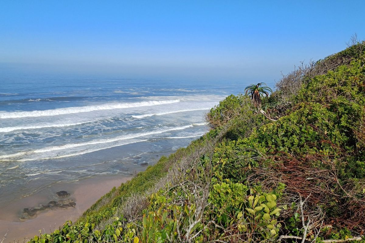 A scenic view of the coastline featuring natural vegetation and ocean waves, highlighting the property's prime location.