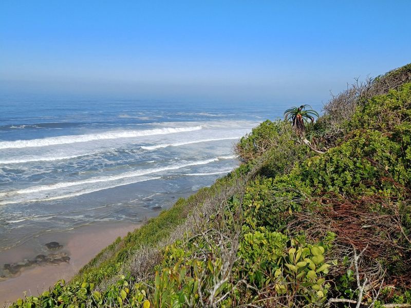 A scenic view of the coastline featuring natural vegetation and ocean waves, highlighting the property's prime location.