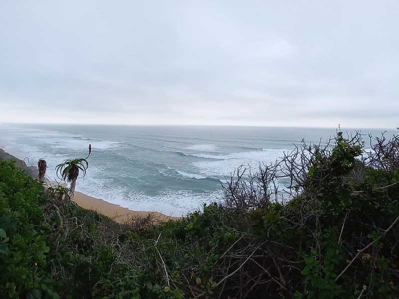 A scenic elevated view overlooking the coastline, sandy beach, and ocean waves framed by natural coastal vegetation.