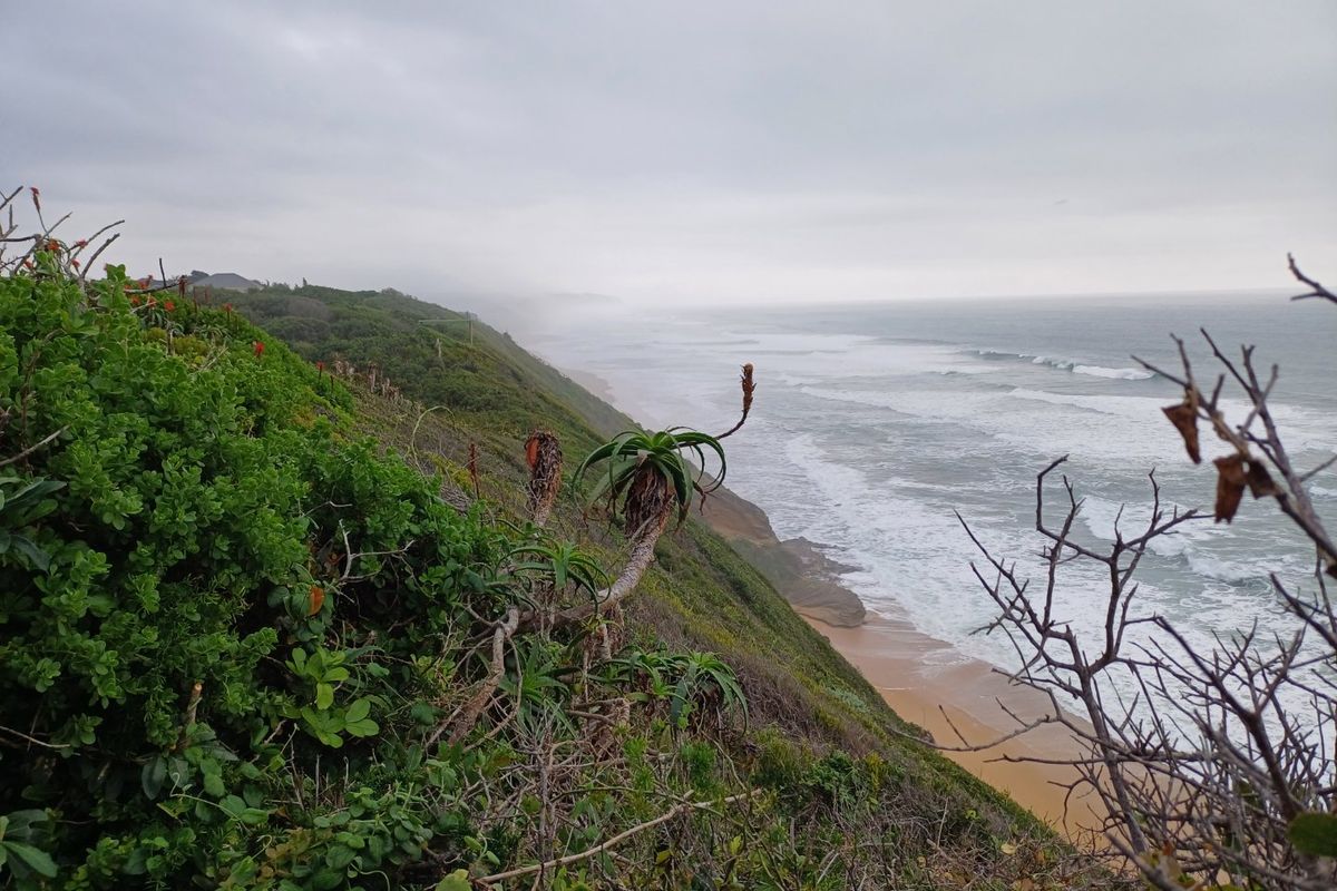 A scenic view of the coastline featuring natural vegetation and ocean waves along the shore.