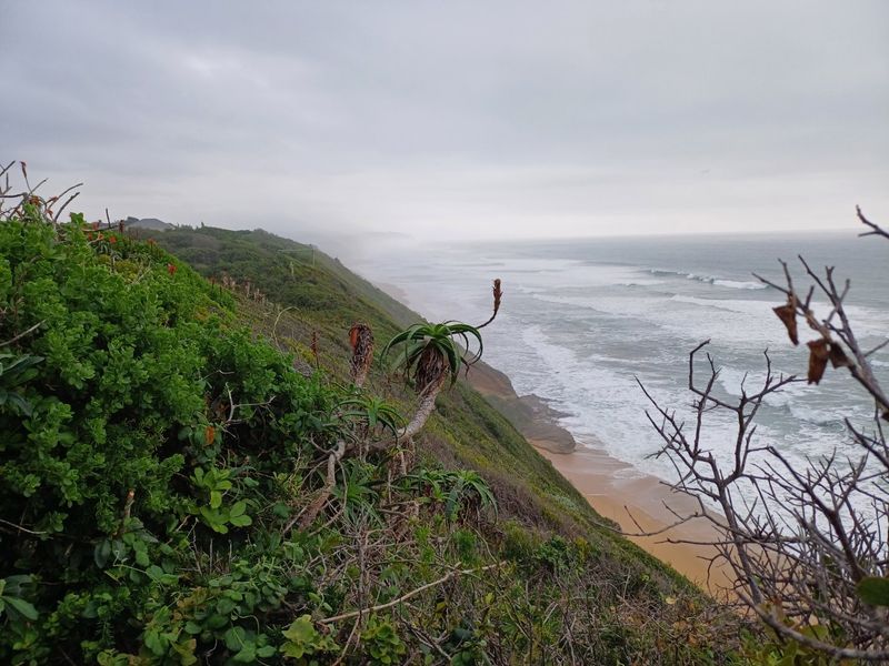 A scenic view of the coastline featuring natural vegetation and ocean waves along the shore.