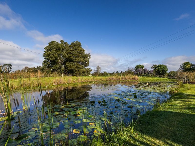 Pretty Crags Property Your piece of the Crags- Frogsong Cottage - Photo 4