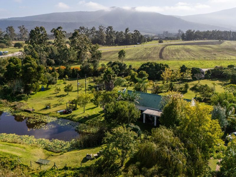 Pretty Crags Property Your piece of the Crags- Frogsong Cottage - Photo 2