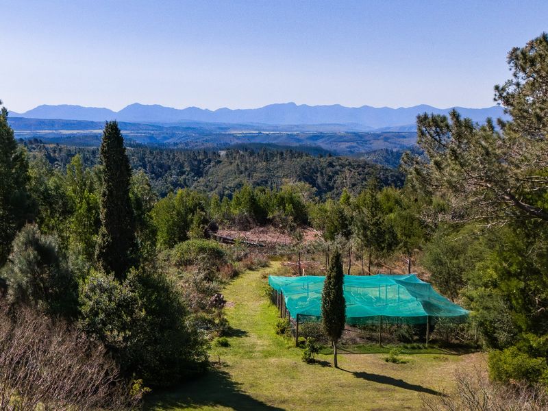 Versatile Lifestyle Property - Photo 7