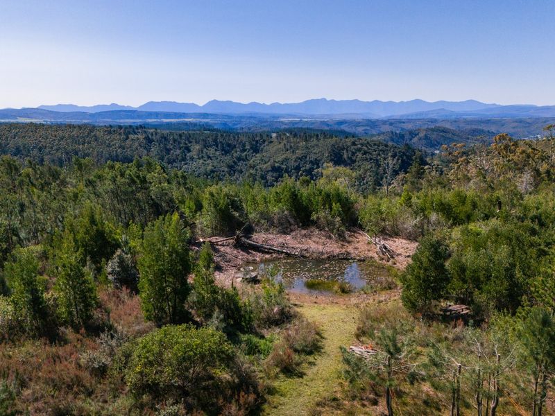 Versatile Lifestyle Property - Photo 10