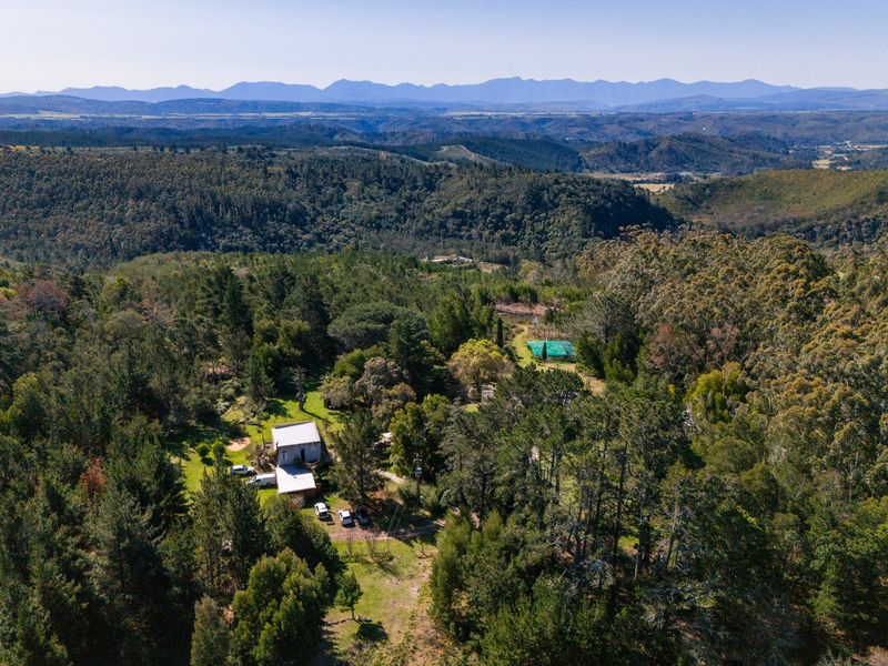 Versatile Lifestyle Property - Photo 9