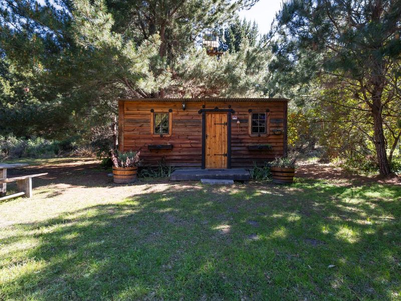 Versatile Lifestyle Property - Photo 8