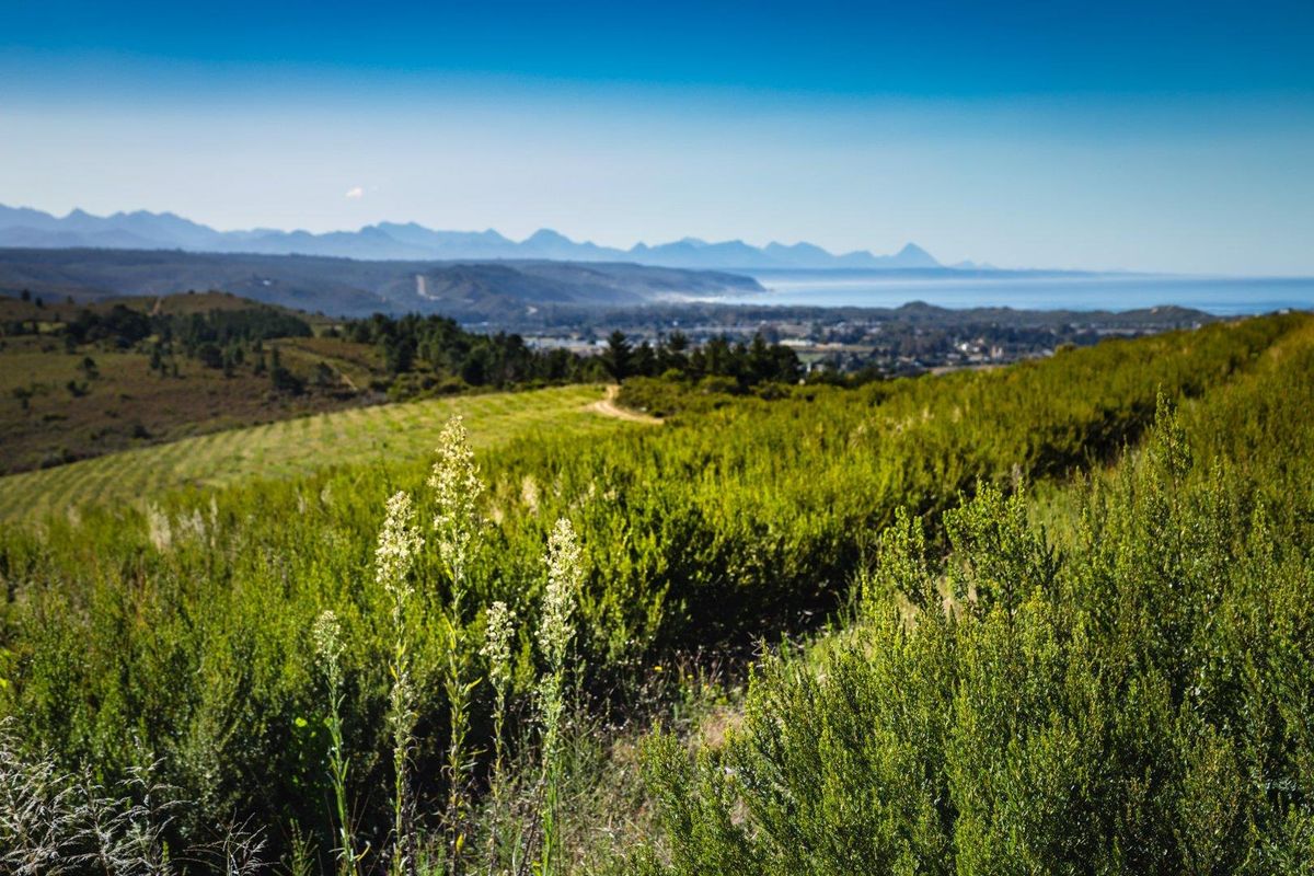 “Picture yourself on a farm with magnificent views & river frontage - Photo 3