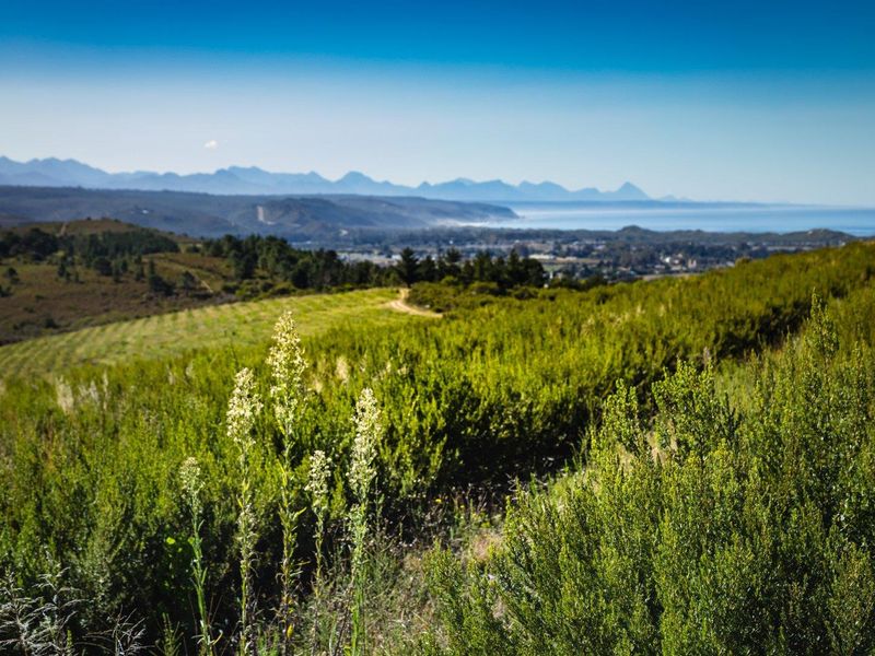 “Picture yourself on a farm with magnificent views & river frontage - Photo 3