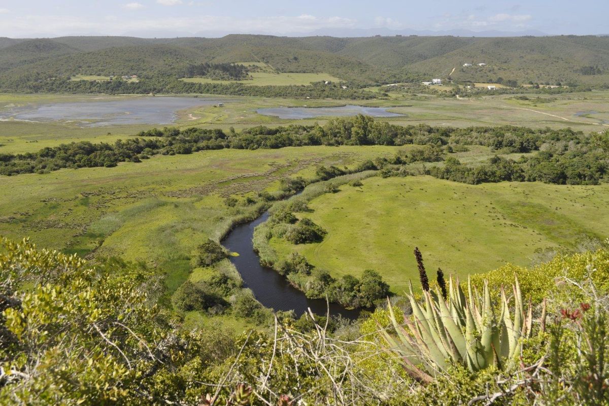 “Picture yourself on a farm with magnificent views & river frontage - Photo 5