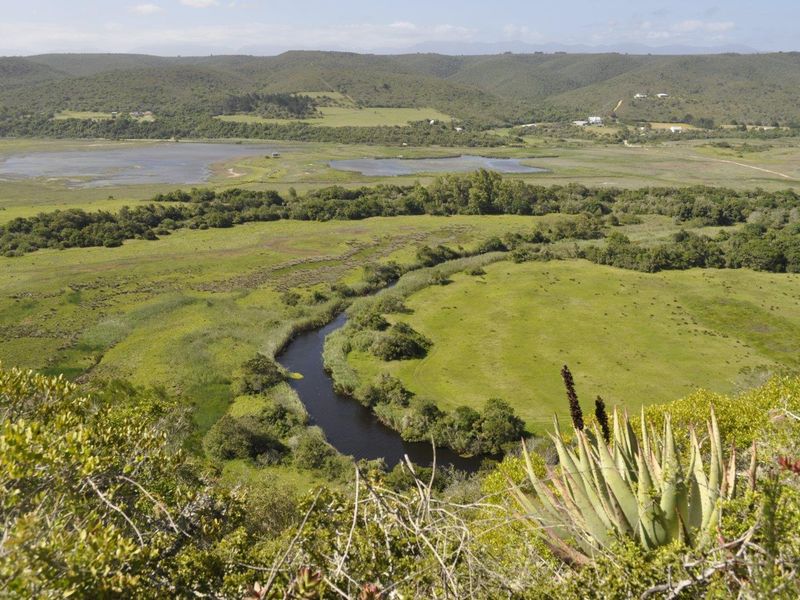“Picture yourself on a farm with magnificent views & river frontage - Photo 5