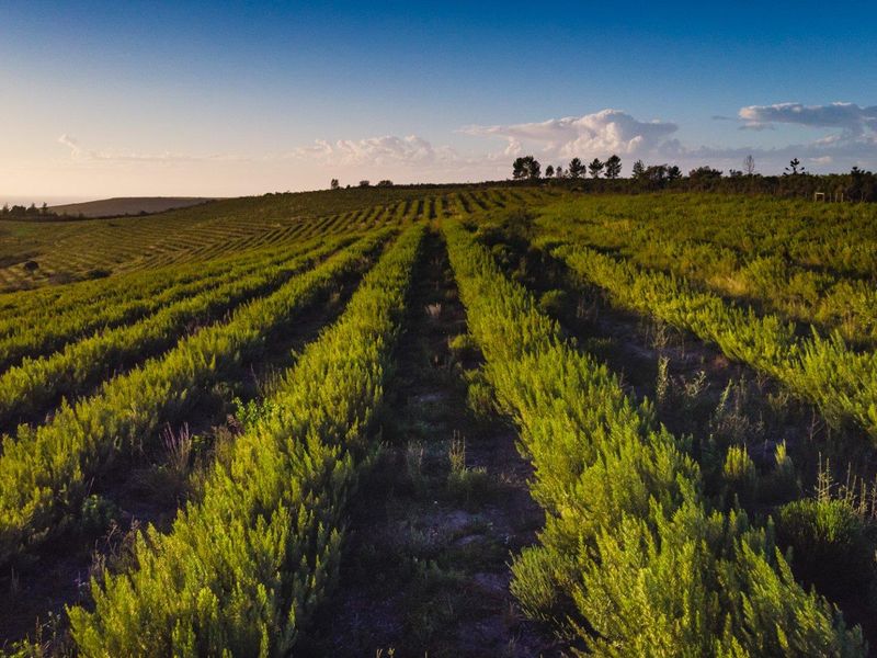 “Picture yourself on a farm with magnificent views & river frontage - Photo 6