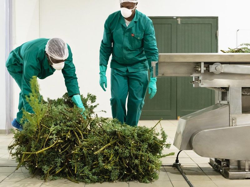 Commercial Space: Storage /  Factory / Office Space - Wittedrift  - Photo 6