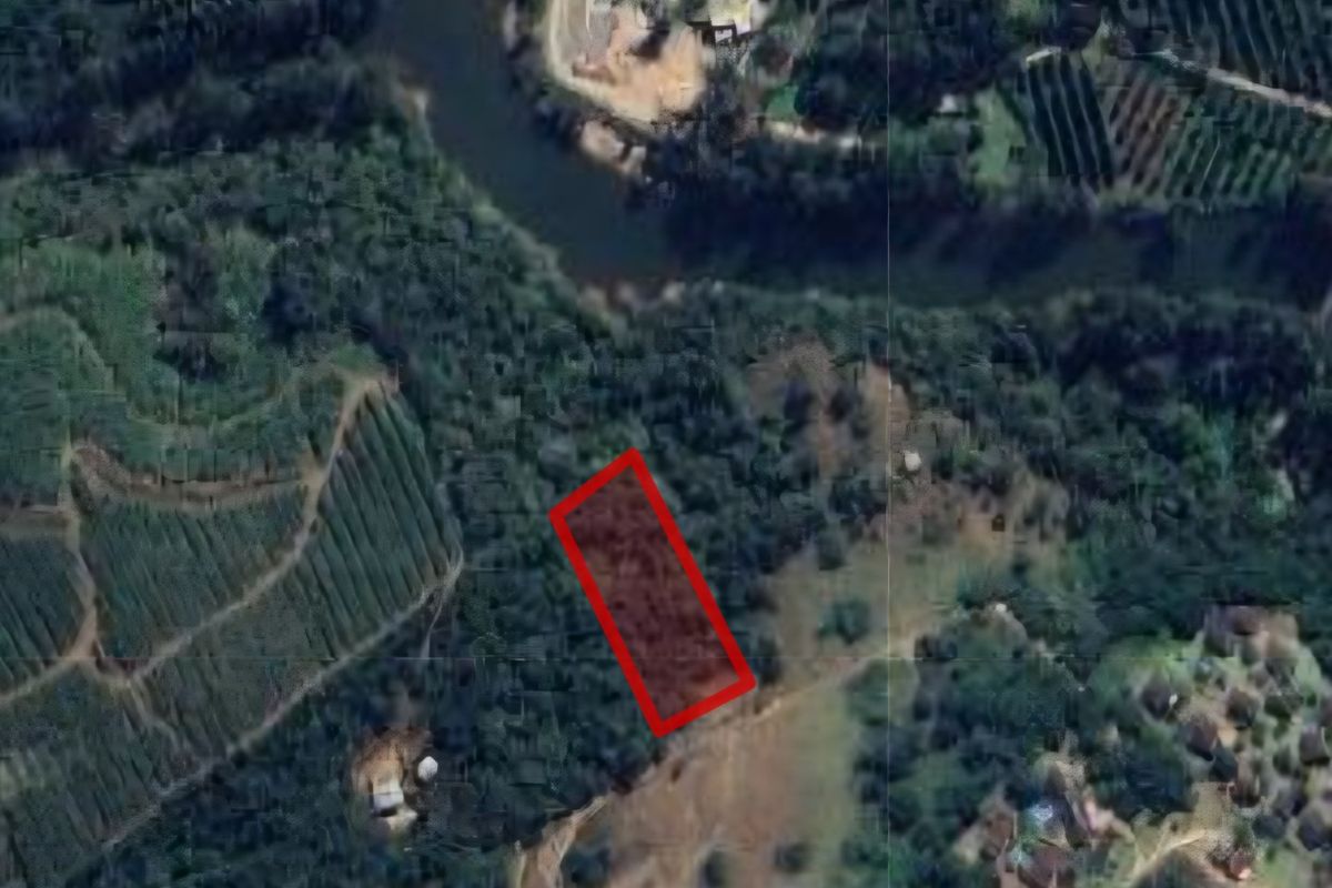 An aerial view of a vacant residential plot surrounded by dense vegetation and nearby agricultural land.