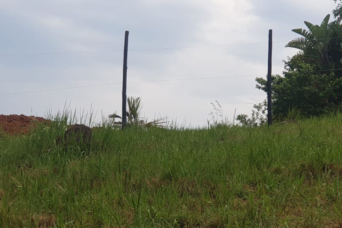 A view of a vacant residential plot featuring natural grass terrain and simple wire perimeter fencing.
