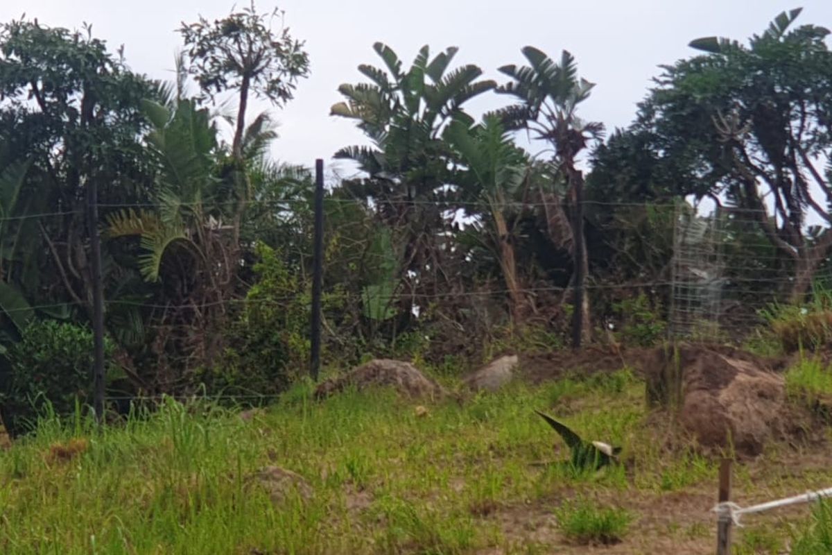 A view of a vacant residential plot featuring established trees, natural rock formations, and wire perimeter fencing.