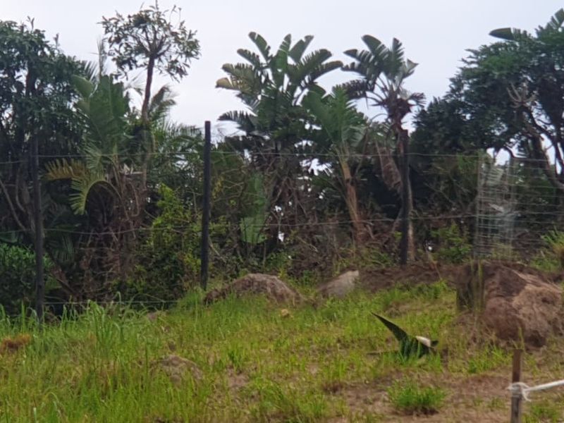 Vacant Land By The Mpenjati River  - Photo 4