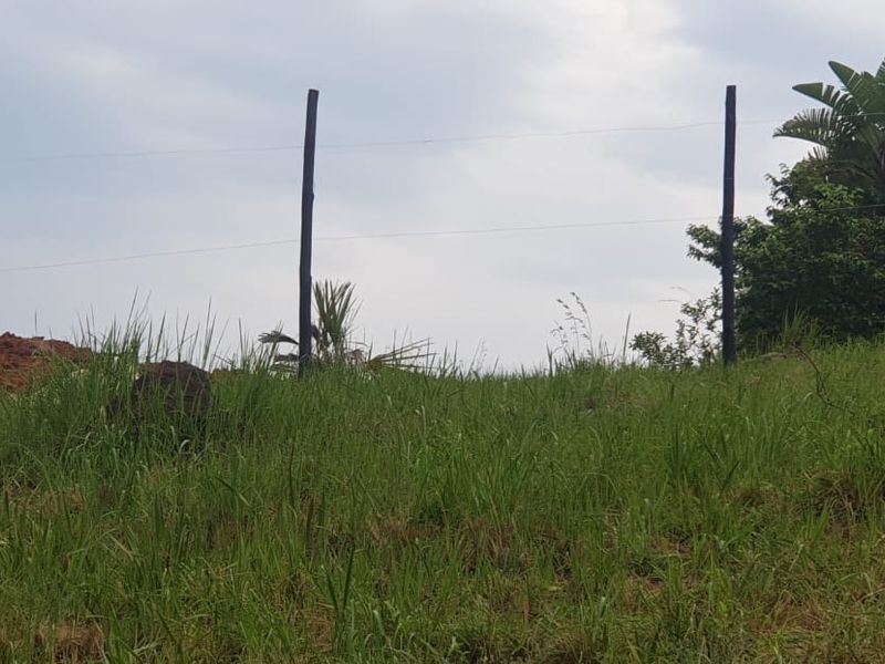 Vacant Land By The Mpenjati River  - Photo 2