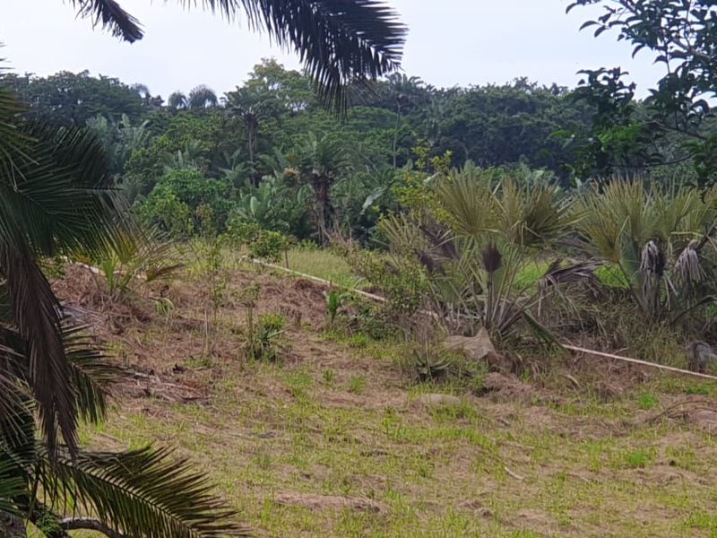 Vacant Land By The Mpenjati River  - Photo 3