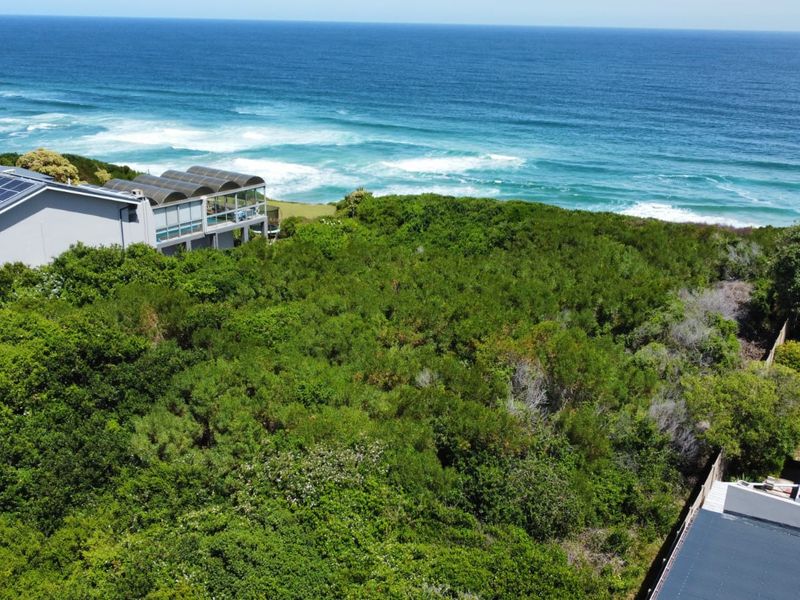Aerial view of a vacant residential plot featuring dense coastal vegetation and direct ocean views.