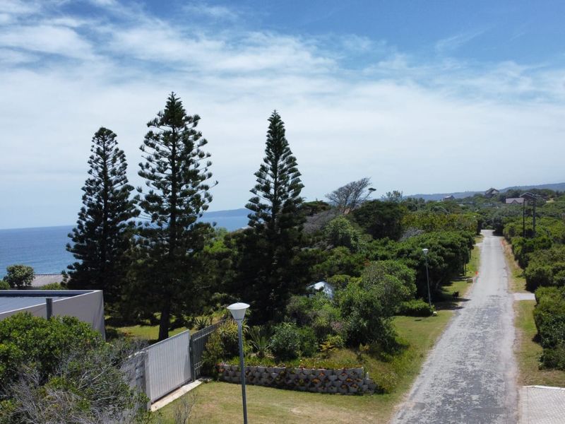 Aerial view of the residential street and surrounding coastal landscape, showcasing the property's location and proximity to the ocean.