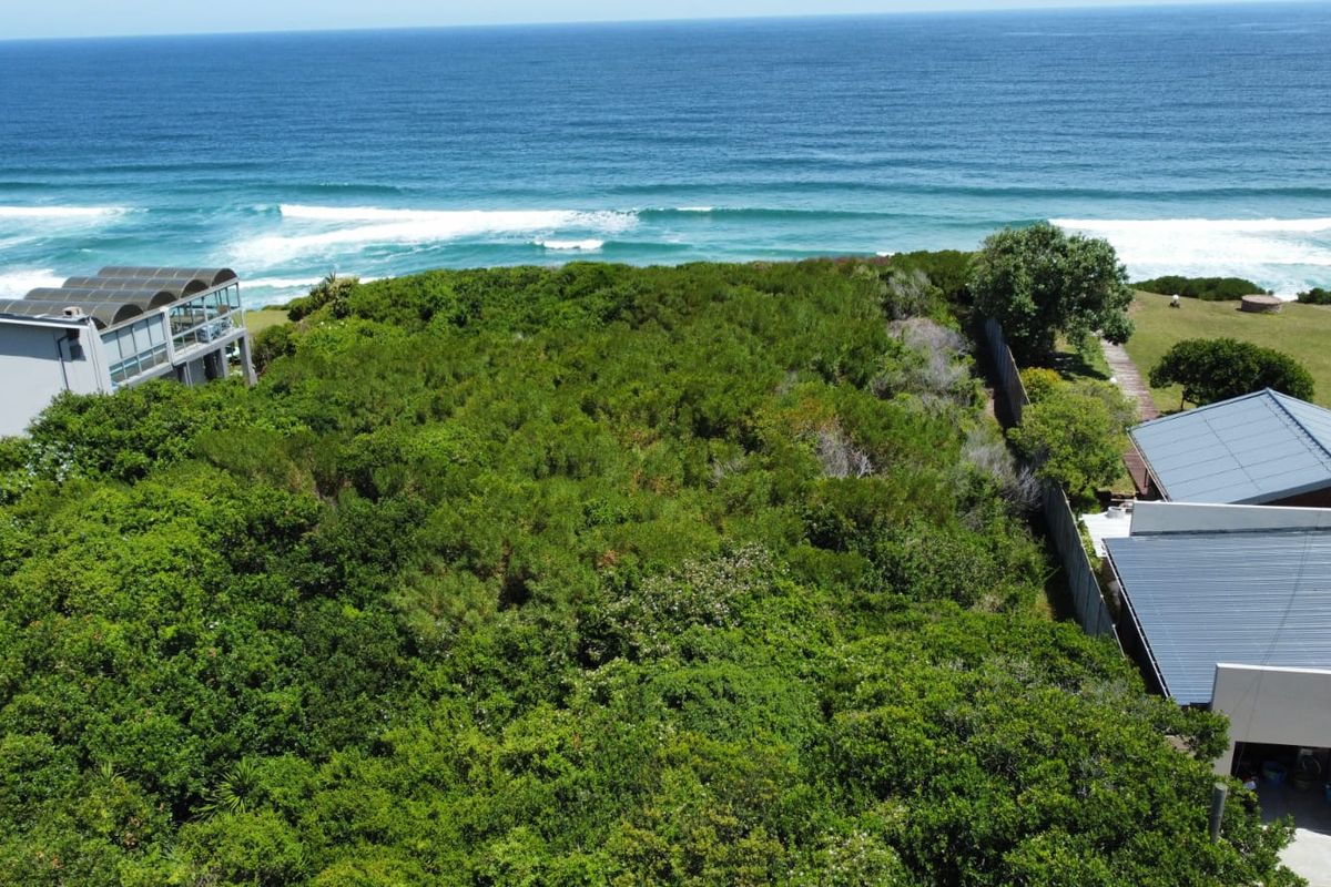 Aerial view of a vacant residential plot featuring dense coastal vegetation and direct ocean views.