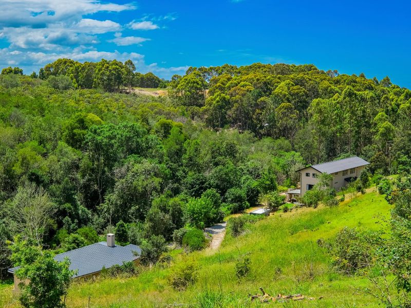 5.5 Hectare Private Forest sanctuary with mountain views in Hoekwil with multiple dwelling options that has it all! - Photo 10