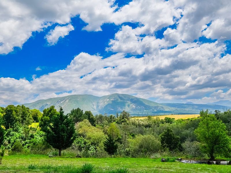 5.5 Hectare Private Forest sanctuary with mountain views in Hoekwil with multiple dwelling options that has it all! - Photo 6