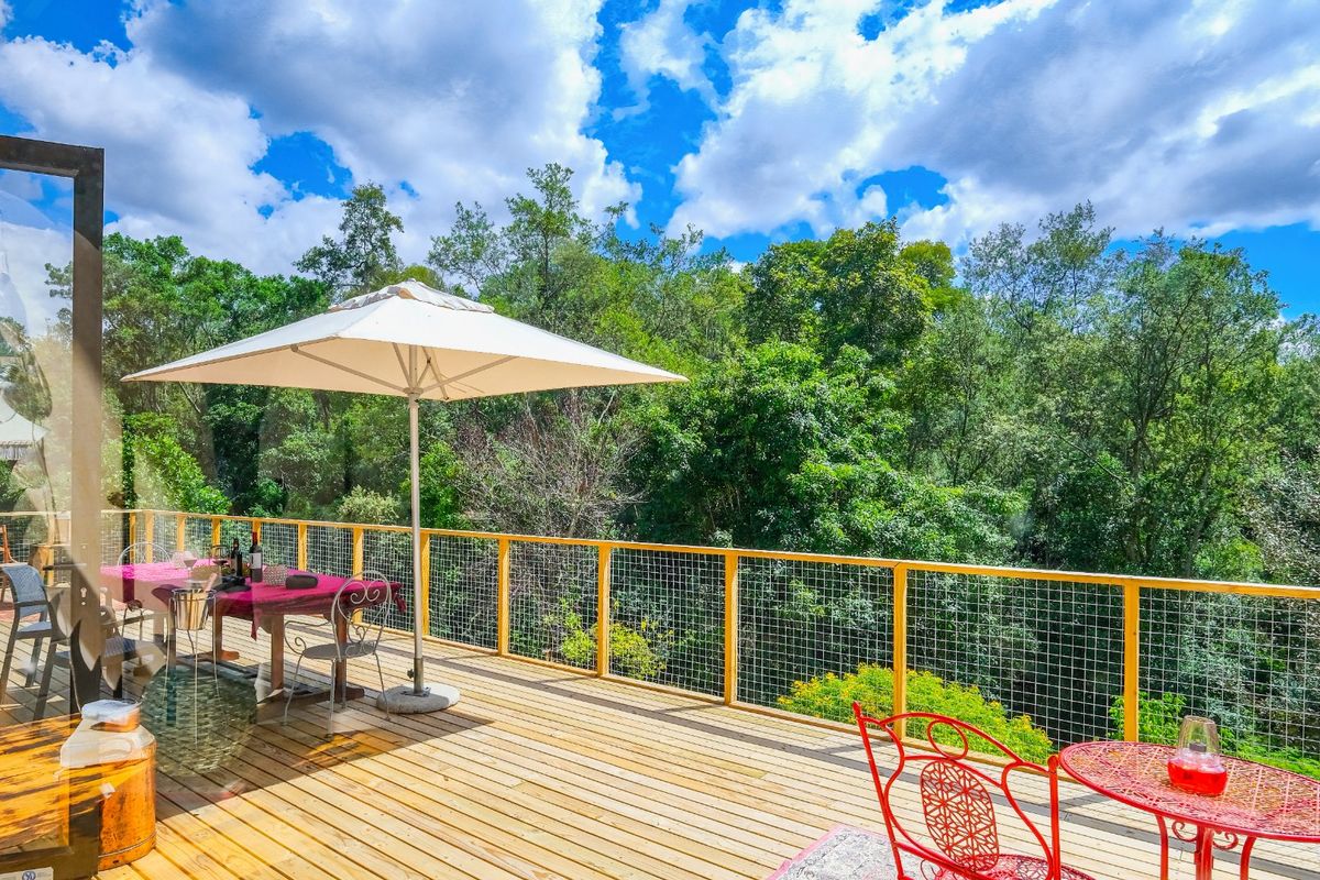 5.5 Hectare Private Forest sanctuary with mountain views in Hoekwil with multiple dwelling options that has it all! - Photo 2