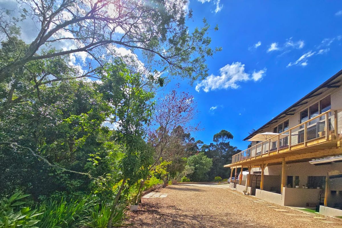 5.5 Hectare Private Forest sanctuary with mountain views in Hoekwil with multiple dwelling options that has it all! - Photo 5