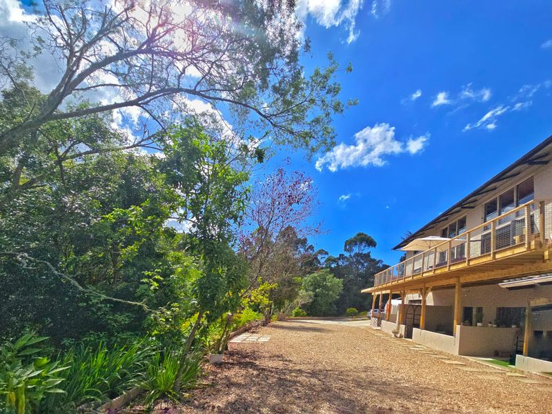 5.5 Hectare Private Forest sanctuary with mountain views in Hoekwil with multiple dwelling options that has it all! - Photo 5