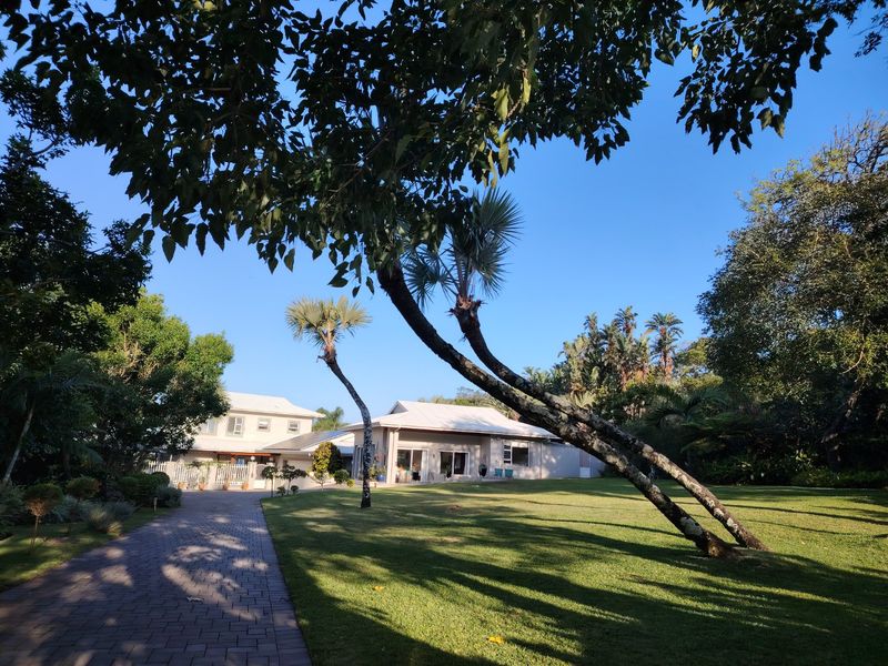 Your spectacular Dream Home and more on 2746m2 - Photo 3