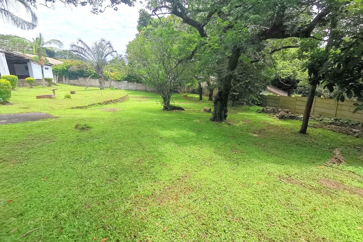 Massive garden with a lot of potential - Photo 3