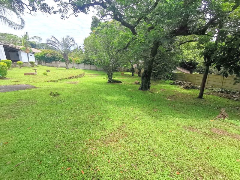 Massive garden with a lot of potential - Photo 3