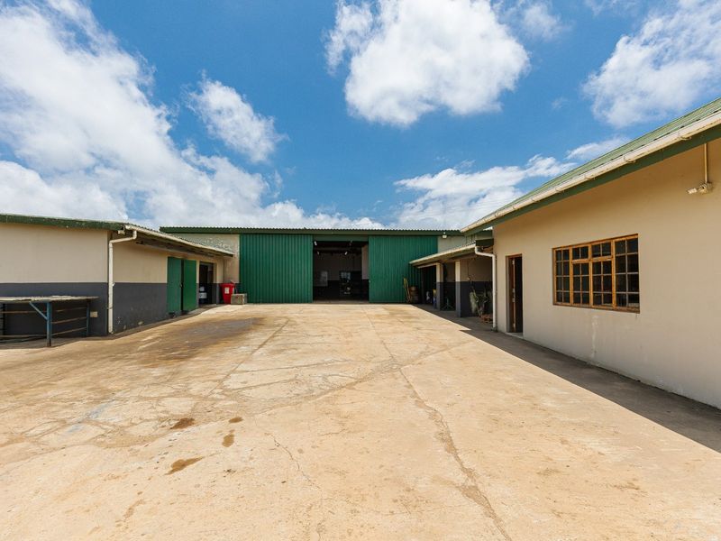A spacious farm courtyard featuring large metal sliding doors, concrete paving, and surrounding outbuildings with corrugated roofing and timber-framed windows.