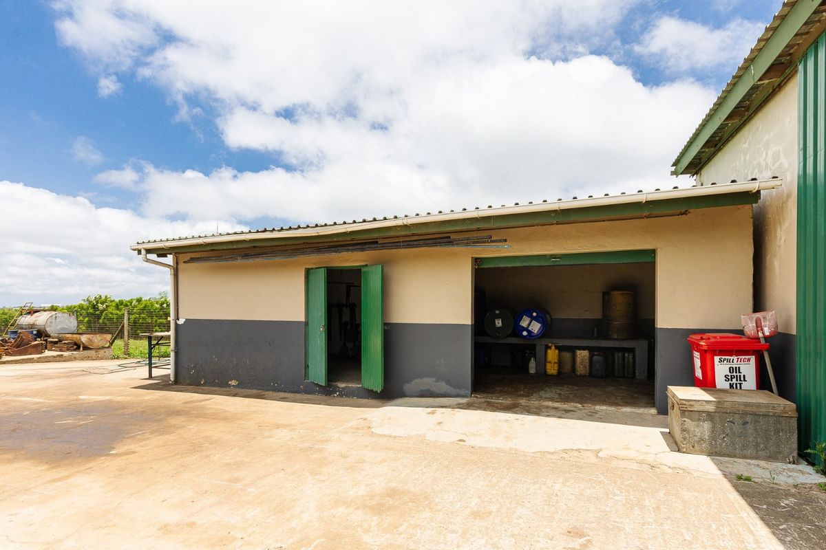 Grab this opportunity to own one of the most beautiful Lifestyle Farms: Perfect for a Wedding Venue or Guest Lodge  - Photo 4