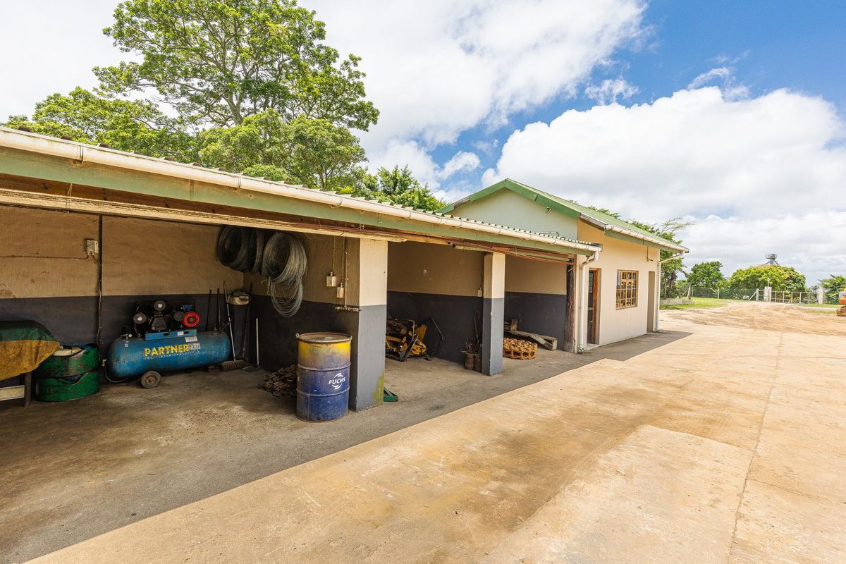 Grab this opportunity to own one of the most beautiful Lifestyle Farms: Perfect for a Wedding Venue or Guest Lodge  - Photo 5