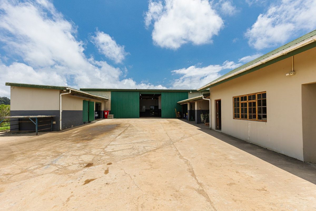 Grab this opportunity to own one of the most beautiful Lifestyle Farms: Perfect for a Wedding Venue or Guest Lodge  - Photo 3