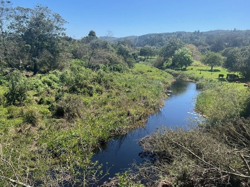 Secure Estate Living in Plettenberg Bay — Where Life Finally Feels Settled - Photo 10