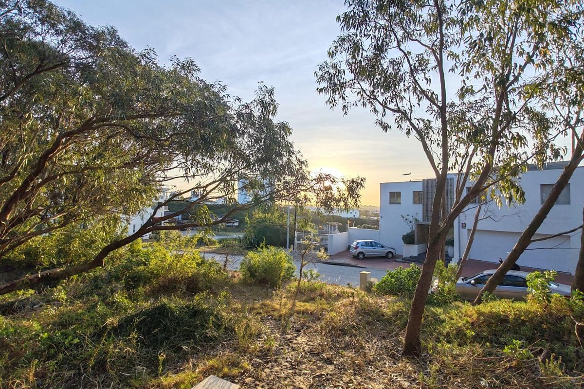 BUY LAND NOW THEY DONT MAKE IT,  WITH VIEWS ANYMORE - Photo 4