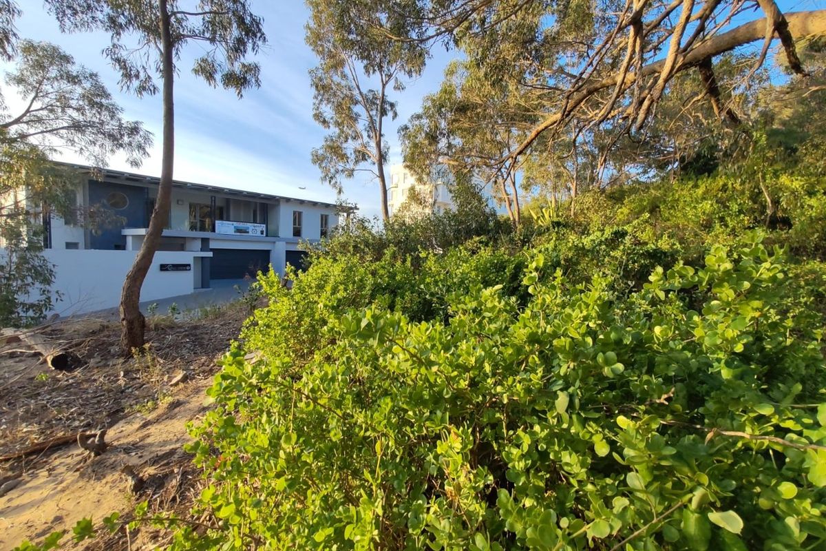 BUY LAND NOW THEY DONT MAKE IT,  WITH VIEWS ANYMORE - Photo 2